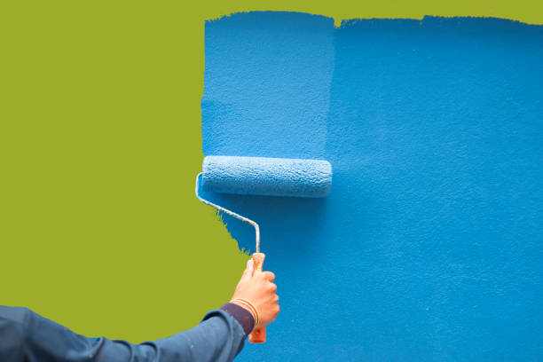 Best Eco-Friendly and Low-VOC Painting  in Friendswood, TX